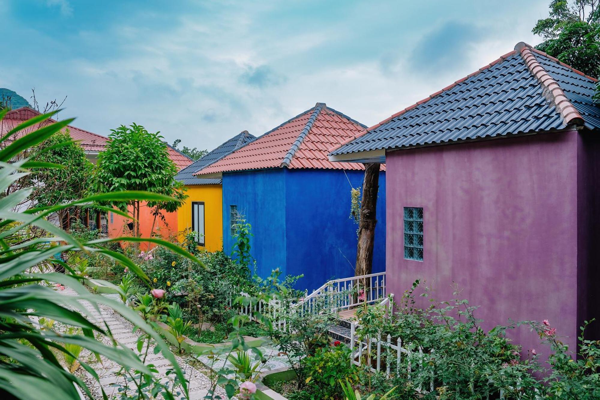 Windy Homestay Кат-Ба Экстерьер фото